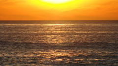 surfer found dead near tourmaline beach, body had possible shark bites